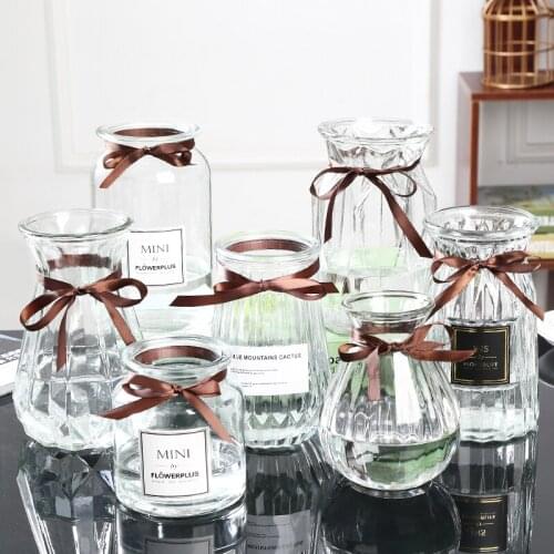 Glass Vase Simple Creative Ornaments Living Room European Transparent Flower Arrangement Flower Dried Flower Container