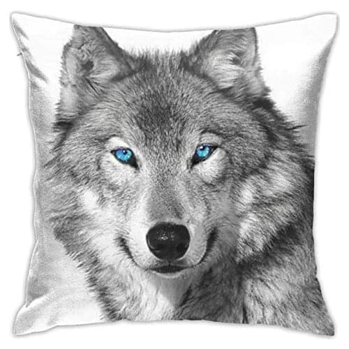 PooizsdzzzBlue-Eyed Wolf Printed Twin Sides Decorative Throw Pillow Cushion Covers Throw Pillow Cases for Couch Bedroom Car