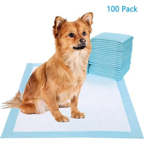 Pet Toilet Mat Diaper Super Absorbent Dog Training Pee Pads Healthy Clean Dog Pads Disposable Dog Diaper Puppy Training Pad