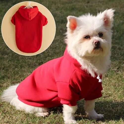 Pure Color Hooded Sweatshirt Two Feet Dog Sweatshirt for Autumn and Winter Warm Pet Clothes Brand Hooded Sweater Pet