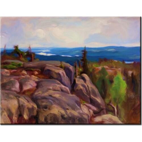 NEW 100% hand-painted canvas oil painting high quality Household adornment art pictures DM-15092816