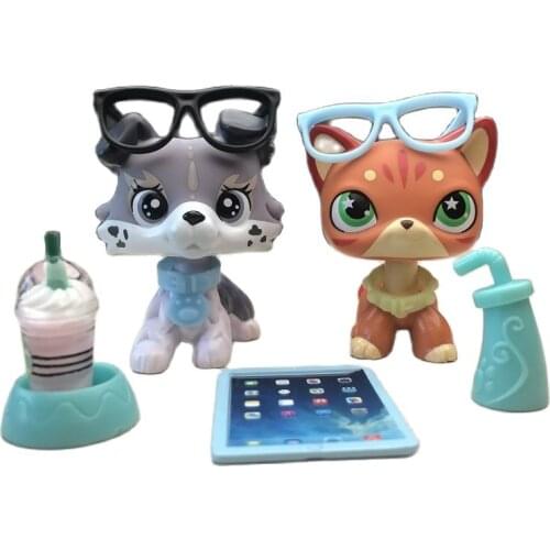 Pet shop Short Hair Cat Very Rare Collection with 7pcs Cute Accessories