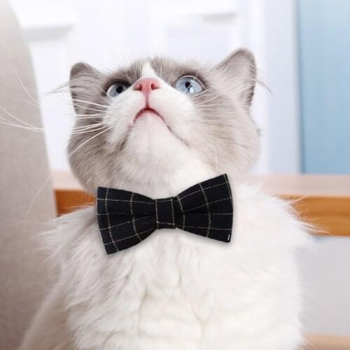 Ошейники для кошек YILANYUNCHUANG China At AliExpress