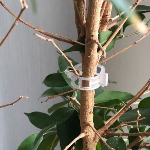 50pcs 23mm Plastic Plant Support Clips For Tomato Hanging Trellis Vine Connects Plants Vegetable Fastening Clip