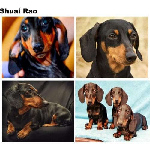 5d diy diamond painting Professor Dachshund dog diy full square diamond embroidery round diamond mosaic animal cute pet puppies