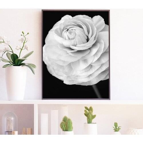 Ranunculus Flower Modern Botanical Wall Art Canvas Painting Black White Poster Prints Mothers Day Picture Home Room Wall Decor