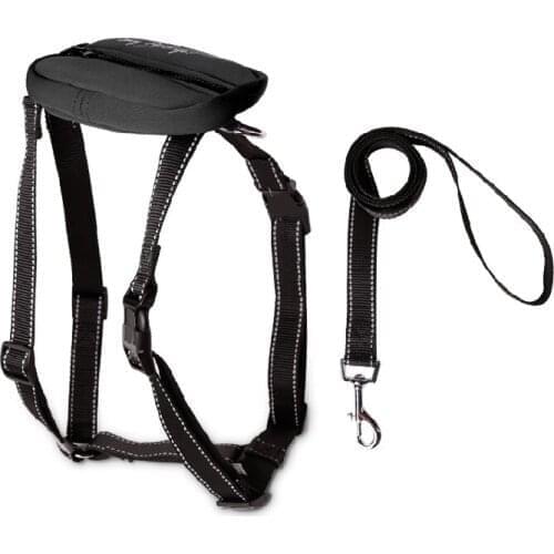 High quality large dogs harness leash suit supplies big dog harness lead set products pet accessories free shipping 1pcs S-XL