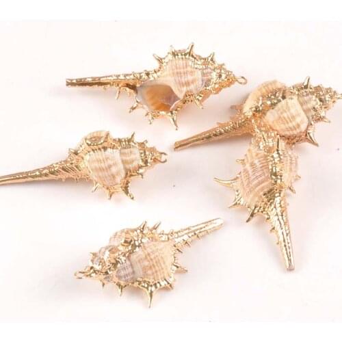 20x40mm 5pcs Natural Gold Plated Conch Shells For DIY Pendant Beige Seashell Craft Handmade Accessories Home Beach Decor tr0261