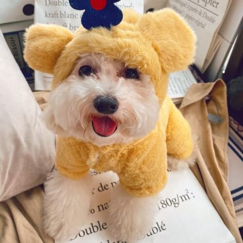 Yellow Clothing For Small Dogs Autumn Winter Warm Puppy Hairy Soft Pet Coat Jacket Fashion Hooded Chihuahua Yorkie Apparel Pugs