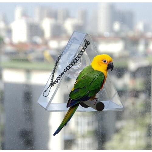 Window Feeder Hanging Transparent Creative 1PC Pet Supplies Parrot Waterproof Suction Cup Mount Clear Bird Feeder