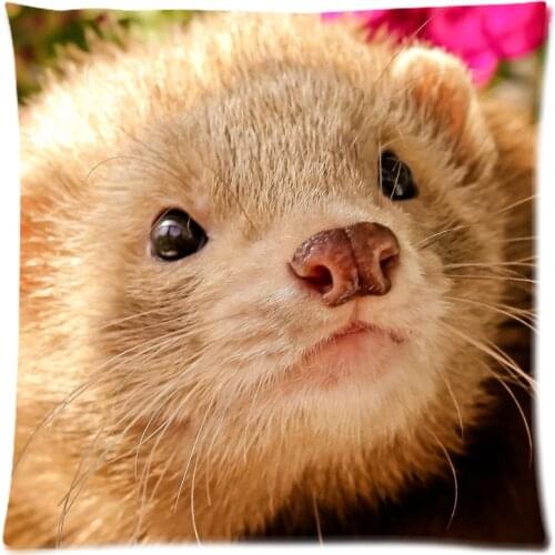 Decorative Cushion Covers DIY Ferret Pillow Case Cover Creative Pillowcase For Sofa Chair Bed Home Decor