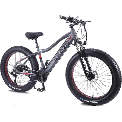 Electric Mountain Bicycle 48V 350W Two Wheels Electric Bicycles 26 Inch Fat Ebike 4.0 Snow Tire Electric Beach Snow Bike Adult