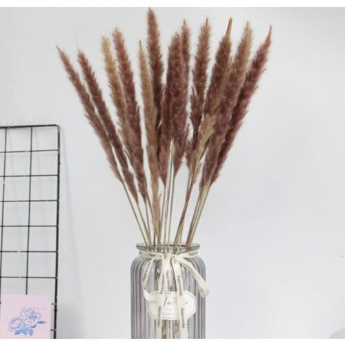 15PCS Natural Dried Reed Grass DIY Home Wedding Decoration Wedding Flower Bouquet Home Decor DIY Flower Matching Decor Newest