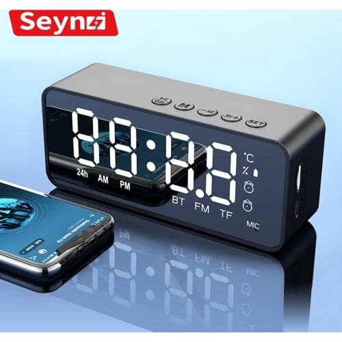 SeynLi Audio Speakers