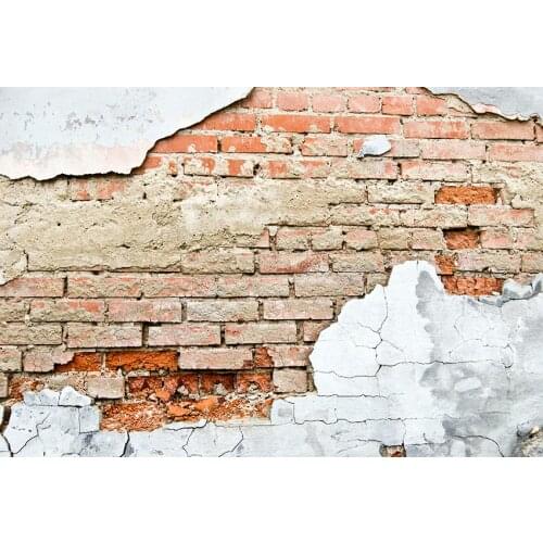 Vintage pets photo shots backgrounds kids red brick wall photography backdrop for photography Studio kits fotografia LV-2453