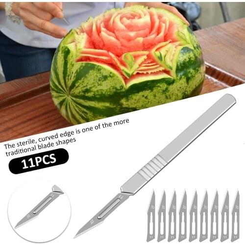 10 pcs Carbon Steel Surgical Scalpel Blades +1pcs Handle Scalpel Tool Set DIY Cutting Tool PCB Repair Animal Surgical Knife tool