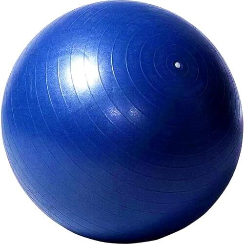 Herding Ball, 40 Inch Anti-Burst Giant Soccer Ball Toy for Horses, Pump Included