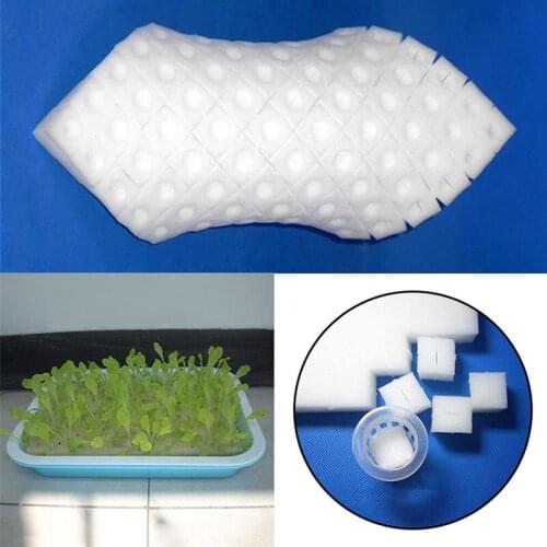 Soilless Hydroponic Vegetables Nursery Pots Nursery Sponge Flower Seed Cultivation Soilless Cultivation System Seed Trays
