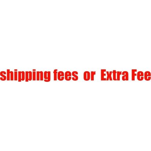 Shipping fees or Extra Fee