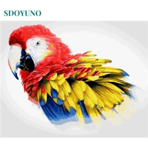 SDOYUNO 60x75cm Paint By Numbers Kits Frameless DIY Colorful Parrot Painting By Numbers On Canvas Animals Digital Hand Painting