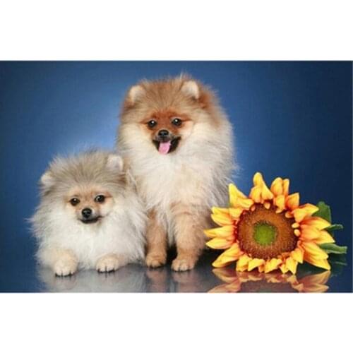 Diamond Mosaic Diy 3D Diamond Embroidery Two Puppies And Sunflowers Diamond Painting Cross Stitch Floral Rhinestone Decorations