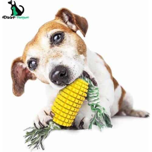 New Dog Toy Corn Grinding Rod Bite-resistant Toothbrush Dog Bite Toy with Rope General Training Toys Chew Toys TPR DT-006