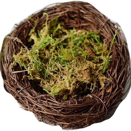 1 Pack Dried Forest Moss Multipurpose Natural Plant Moss Preserved Moss For DIY Crafts Manual DIY Material Accessories