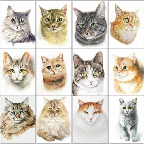 MomoArt 5D DIY Diamond Embroidery Cat Picture Of Rhinestones Diamond Painting Animal Cross Stitch Mosaic Needlework Home Decor