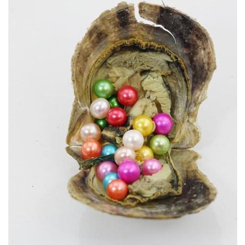 20pcs Akoya Pearl Oysters With Real Pearl 7-8mm AAA Round Pearls 27 Mixed Colors Single Pearl in Oyster Vacuum-Packaging FP389