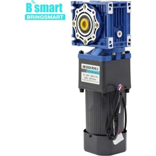 Bringsmart 220V AC motor 120W adjustable speed forward and reverse motor gear motor gear motor