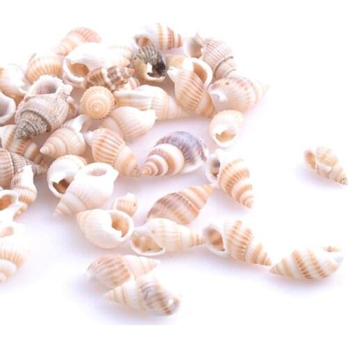 19-25mm Natural Spiral Sea Shell Conch Loose Beads for Jewelry Making DIY 100pcs TRS0126