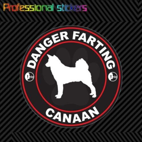 Danger Farting Canaan Sticker Decal Self Adhesive Vinyl Dog Canine Pet for Car, Laptops, Motorcycles, Office Supplies