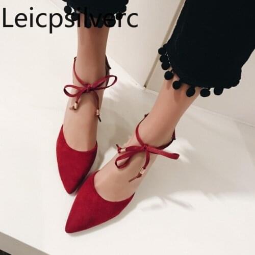 Pumps Spring and autumn new style Fashion Flock Pointed Shallow mouth Lace-up Thick heel High heel Womens shoe plus size 30-48