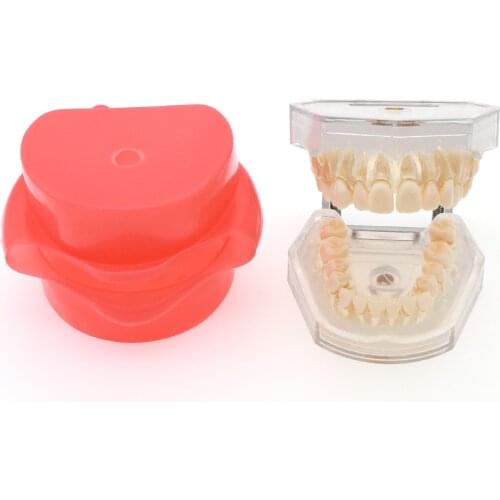 YUSENDENT Dental Materials