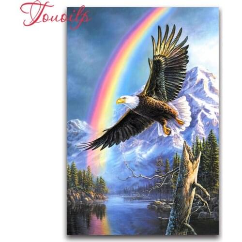 DIY Diamant Borduurwerk Eagle Flying Sky Sneeuw Berg volledige vierkante Diamanten Schilderen Kruissteek Ronde Boor Mozaïek Deco