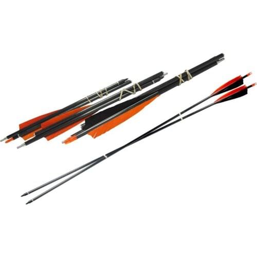 12pcS 2/3-Take-Down Spine500 Pocket Carbon Arrows 100GR Tips 5inch Turkey Feather Compound Bow Archery Hunting