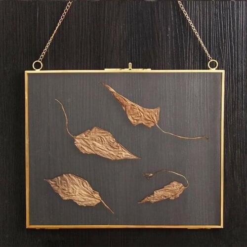 Retro Double Side Glass Metal Photo Frame Industrial Vintage Gold Transparent Plant Flower Specimen Storage Wall Hanging Holder