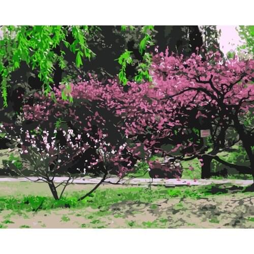 MaHuaf-i164 Frameless spring flowers wall art Picture Painting By Numbers on canvas DIY gift paint by numbers for home decor