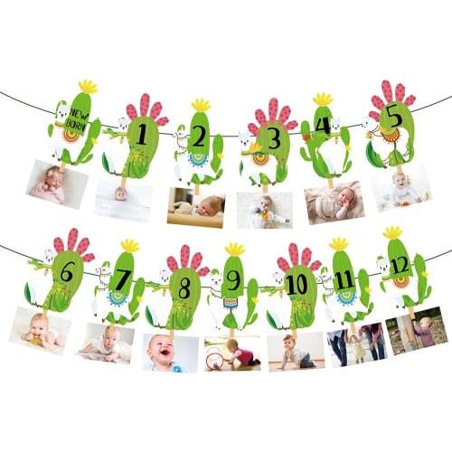 BA193 Mexico Summer Party Cactus Alpaca Animals Design Photo Display Banner for Kids Party Happy Birthday Party Banner