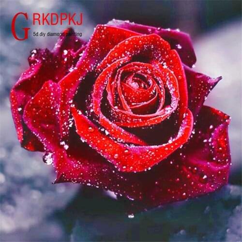 GRKDPKJ 5d diamond painting full drill square diamond embroidery Cross stitch pictures of rhinestones plant Red rose painting xx