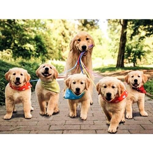 Diamond Painting Cross Stitch Six Lovely Dogs Full Square Resin Drill Diamond Mosaic Rhinestone Needlework Craft Home Decor Gift