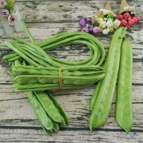 Hotel dining room hall restaurant store shop decor carob lentils long string green bean peas fake artificial vegetables model
