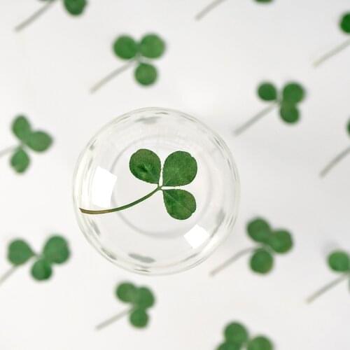 120pcs Pressed Dried Flower Shamrock Oxalis Leaf Herbarium Epoxy Jewelry Bookmark Phone Case Makeup Nail Art Craft DIY