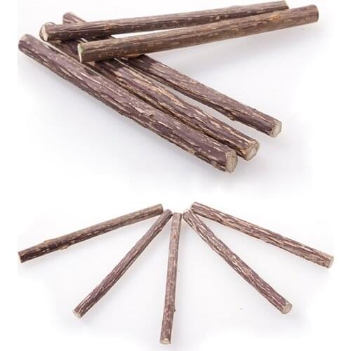 15pcs Matatabi Catnip Sticks Natural Silvervine Matatabi Sticks Teeth Molar Indoor Cat Toys Treats for Kittens Teeth Cleaning