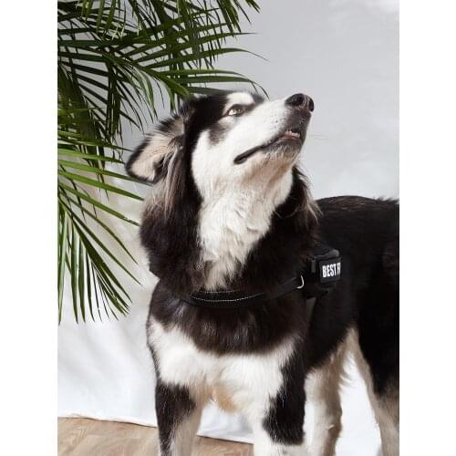 2.Service Dog Harness, No Pull Easy On and Off Pet Vest Harness, 3M Reflective Breathable & Easy Adjust Pet Halters with Nylon H