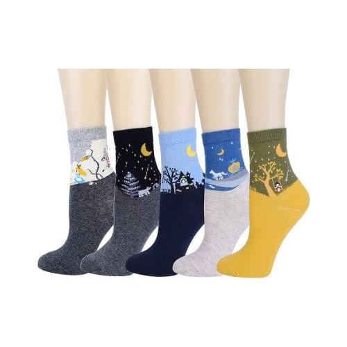 2019 five pairs of socks autumn and winter European and American Christmas tube socks cotton female tide socks personality gold