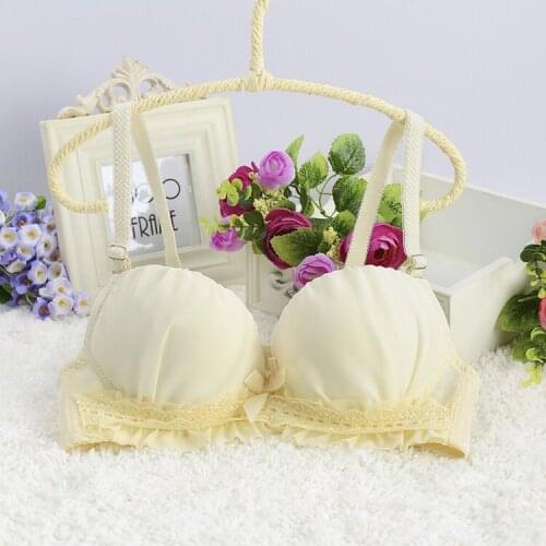Women Underwear Strapless Push Up Bra Sexy Push Up Bras For Women Underwear Thick Padded Bras For Women Push Up Bra For Girls