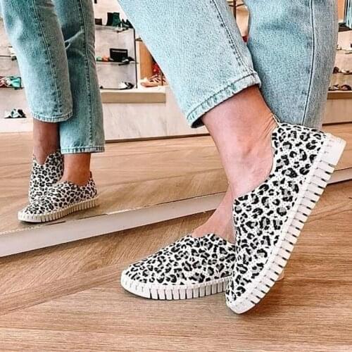 Flat Shoes For Women New Spring Autumn Leopard Print Shoes Comfortable Womens Shoes Classic Fashion Plus Size 36-43