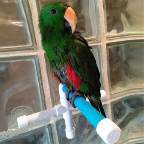 LeChong Parrot Stand Pole Stand Plastic Parrot Toy Bird Cage Accessories Parrot Indoor And Outdoor Standing Frame Bird Supplies