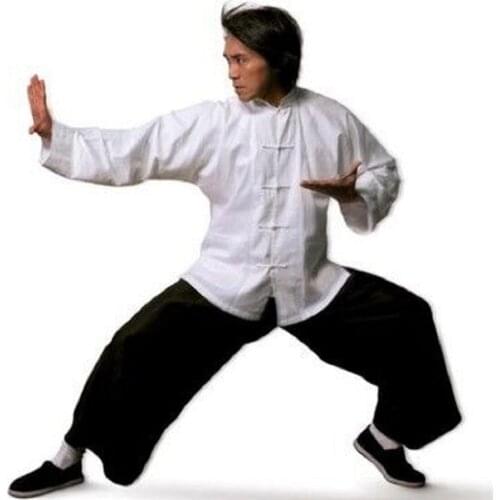 Chinese Traditional Long Sleeve Cotton Tang suit Wu Shu Tai Chi Top Shaolin kung fu Wing chun Shirt Costumes martial arts shirts